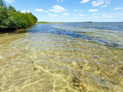Вода в Шацьких озерах: кристально чиста та цілюща